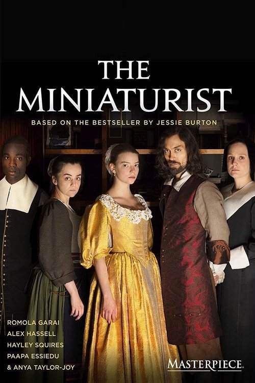 Movie poster for The Miniaturist (2017)