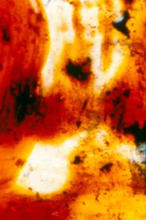Movie poster for Panels for the Walls of Heaven (2002)