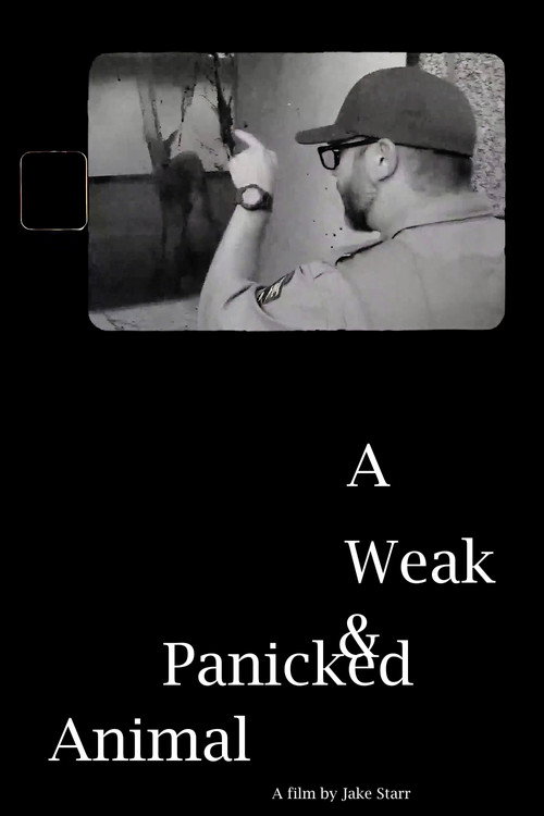 Movie poster for A Weak & Panicked Animal (2024)