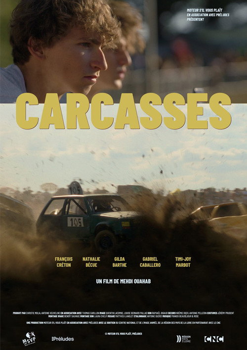Movie poster for Wrecks (2022)