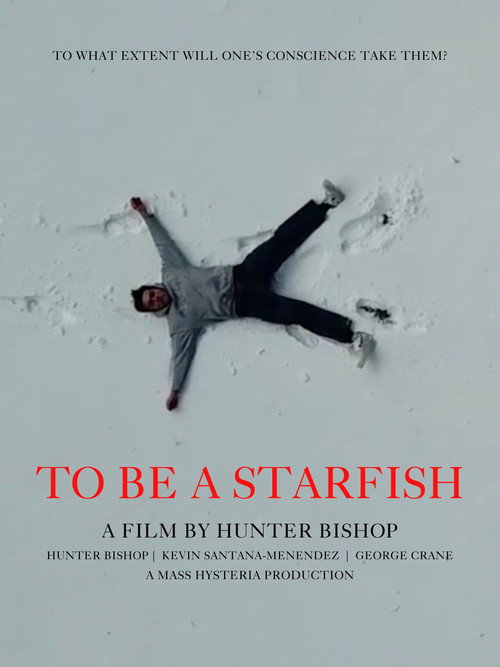 Movie poster for lplusratio