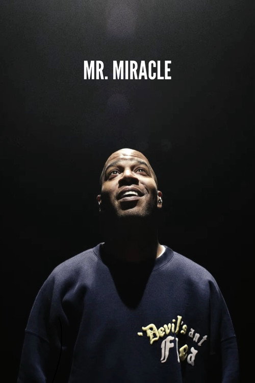 Movie poster for Mr. Miracle (2025)