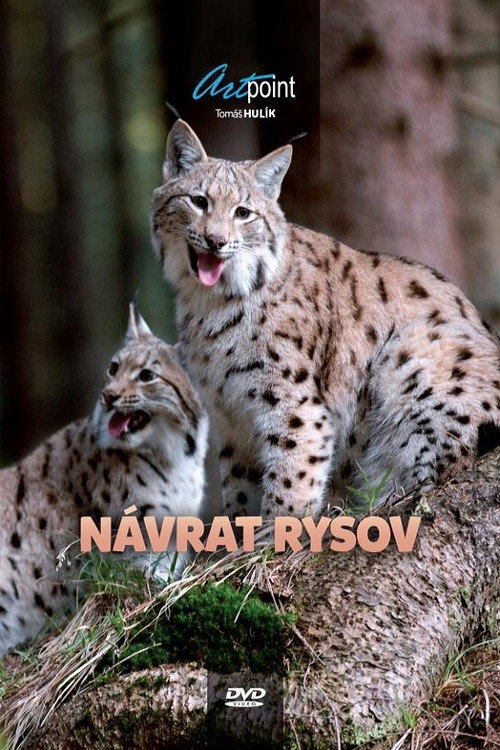 Movie poster for Návrat rysov (2010)