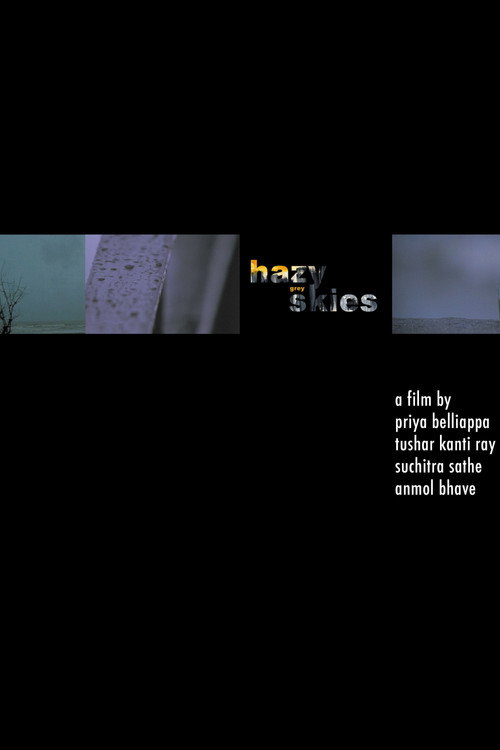 Movie poster for Hazy Grey Skies (2006)