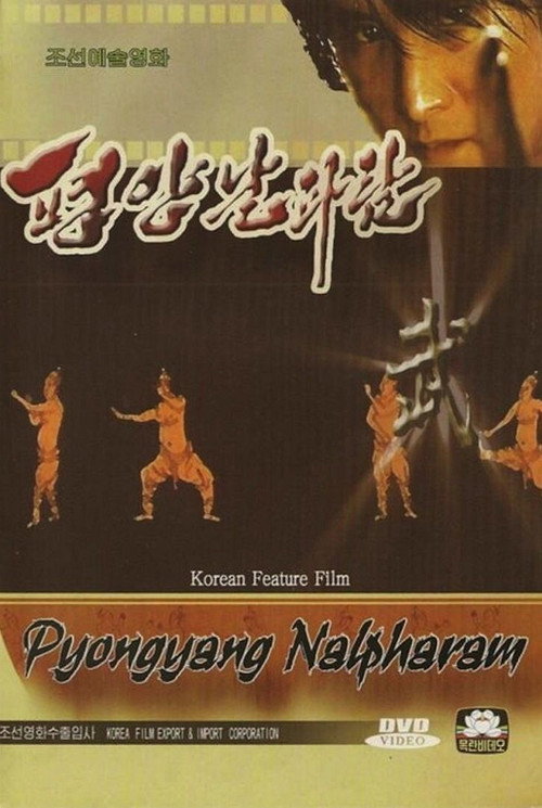 Movie poster for Pyongyang Nalpharam (2006)