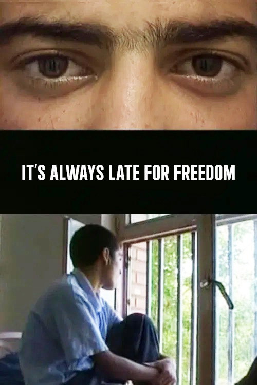 Movie poster for It's Always Late for Freedom (2007)