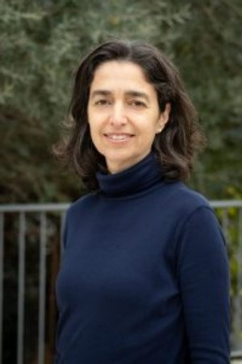 Photo of Roni Aboulafia, Directing