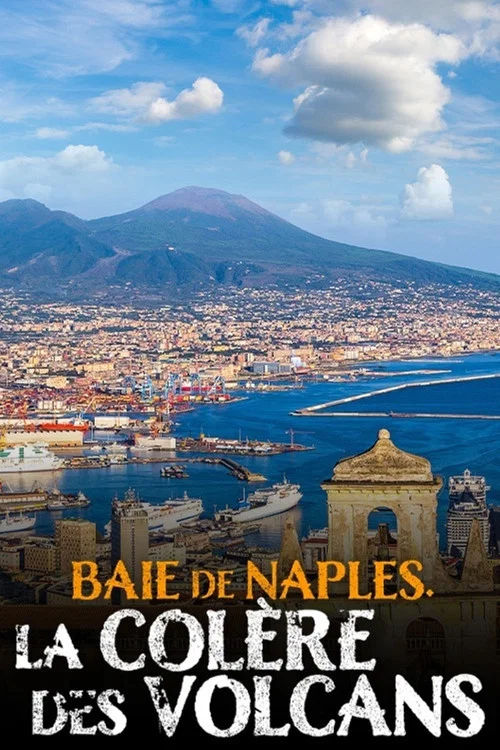 Movie poster for Baie de Naples, la colère des volcans (2020)