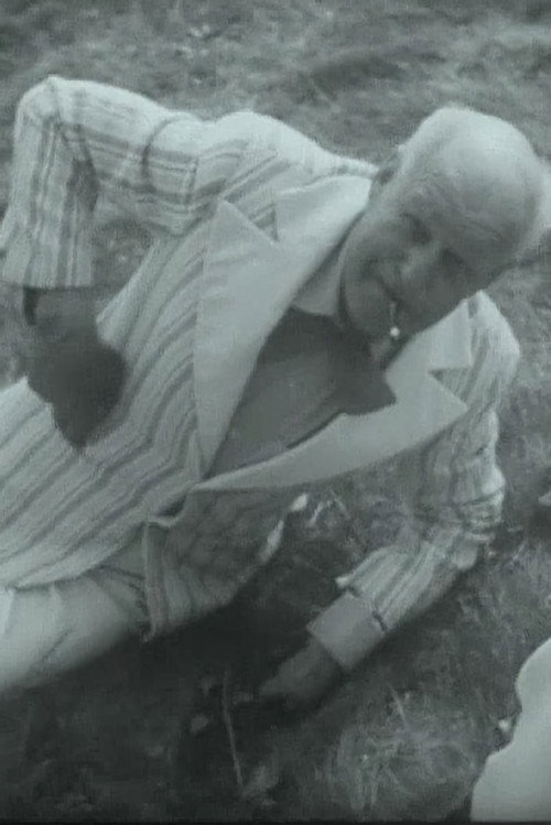 Movie poster for Trumpeters from Zapyškis (1986)