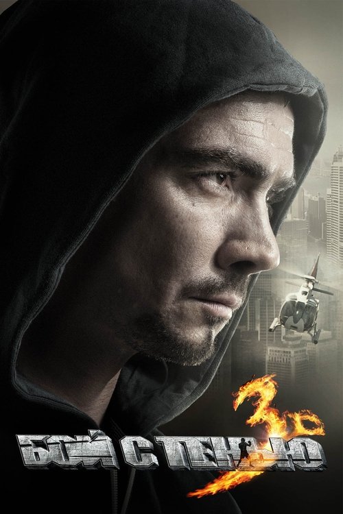Movie poster for Shadow Boxing 3. The Final Round (2011)