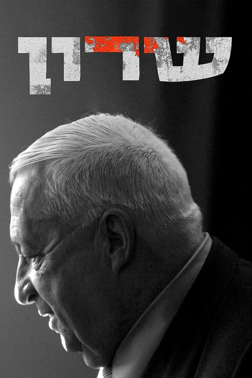 Series poster for Sharon (2021)