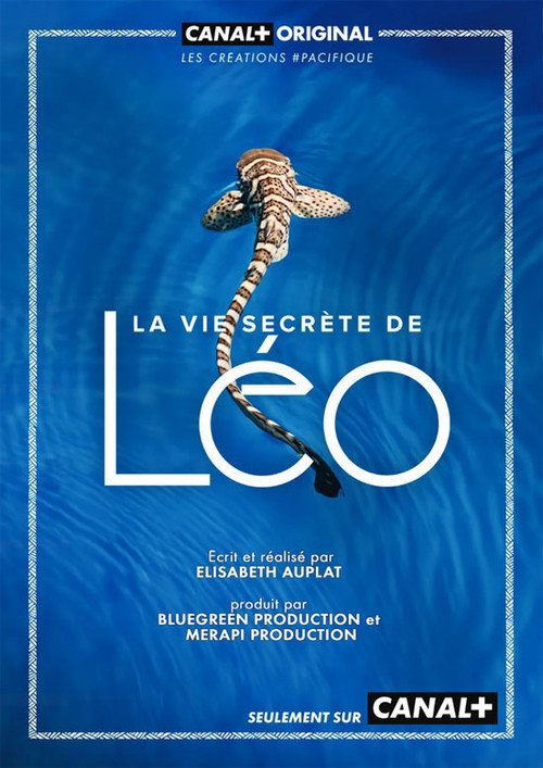 Movie poster for La Vie secrète de Léo