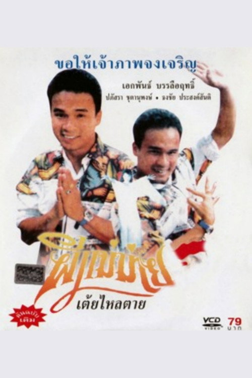 Movie poster for Widow Ghost (1990)