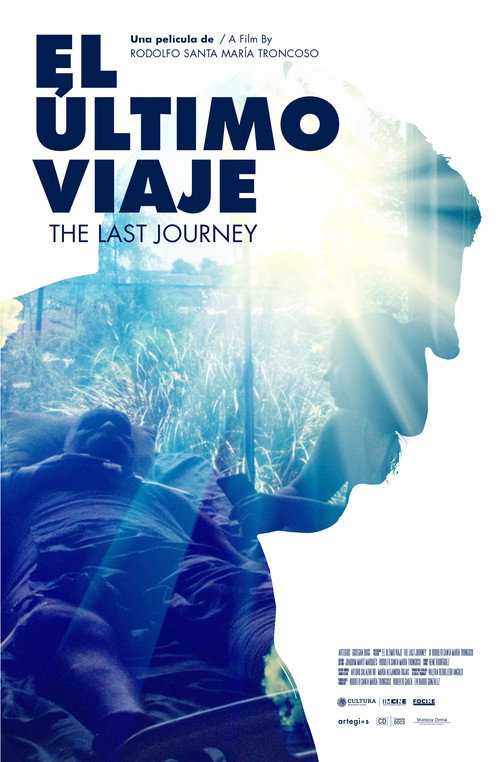 Movie poster for The Last Journey (2024)