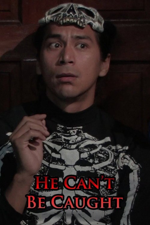 Movie poster for He Can't Be Caught (2007)