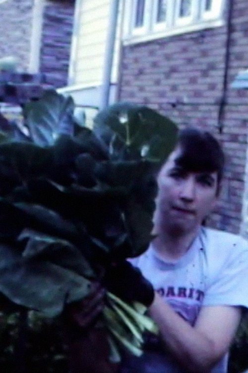 Movie poster for Collards Garden, 1985 (1985)