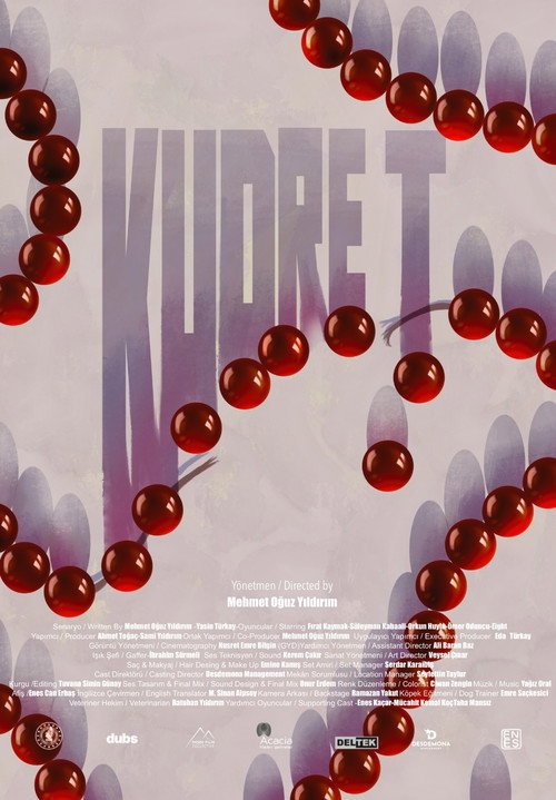 Movie poster for Kudret (2025)