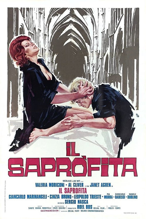 Movie poster for The Profiteer (1974)