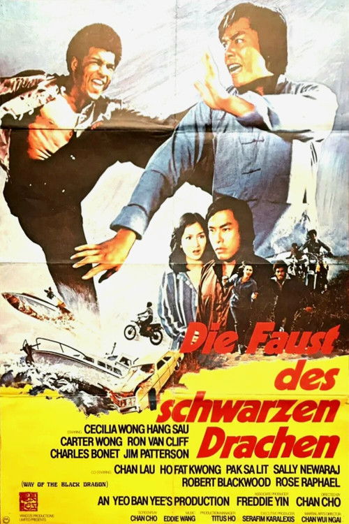 Movie poster for Way of the Black Dragon (1978)