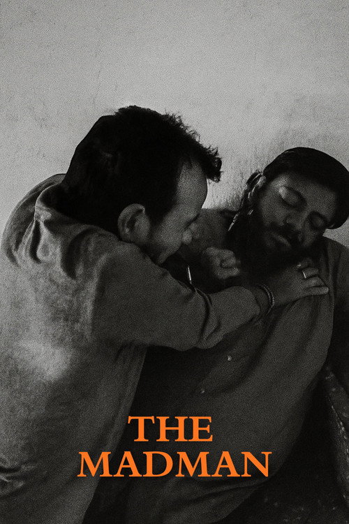 Movie poster for The Madman (2015)
