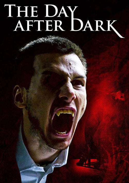 Movie poster for The Day After Dark