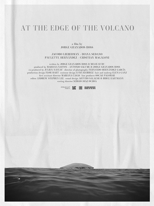 Movie poster for At the Edge of the Volcano (2025)