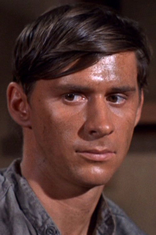 Burt Brinckerhoff profile