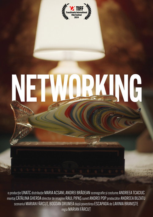 Movie poster for Networking (2025)