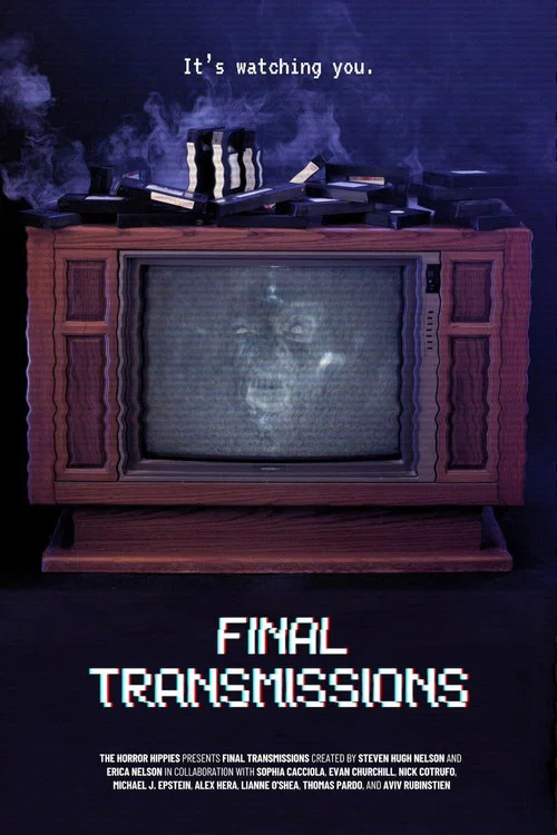 Movie poster for Final Transmissions