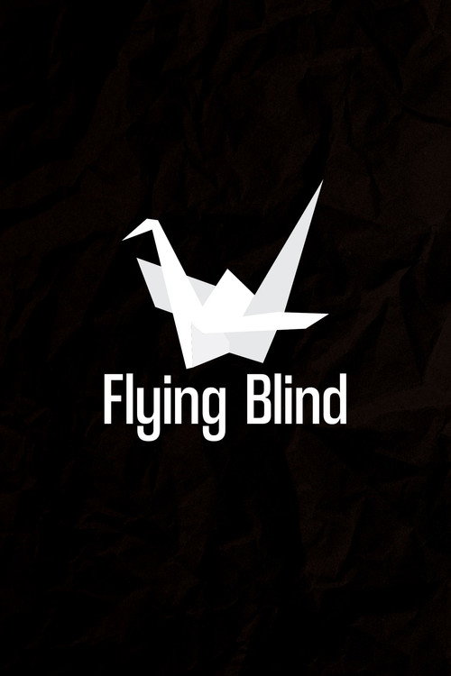 Movie poster for Flying Blind (2020)