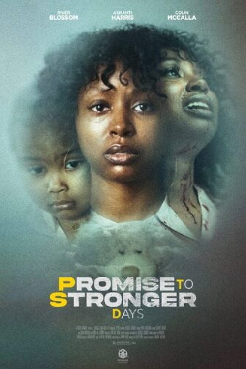 Movie poster for Promise to Stronger Days (2025)
