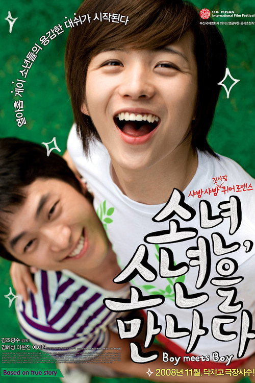 Movie poster for Boy Meets Boy (2008)