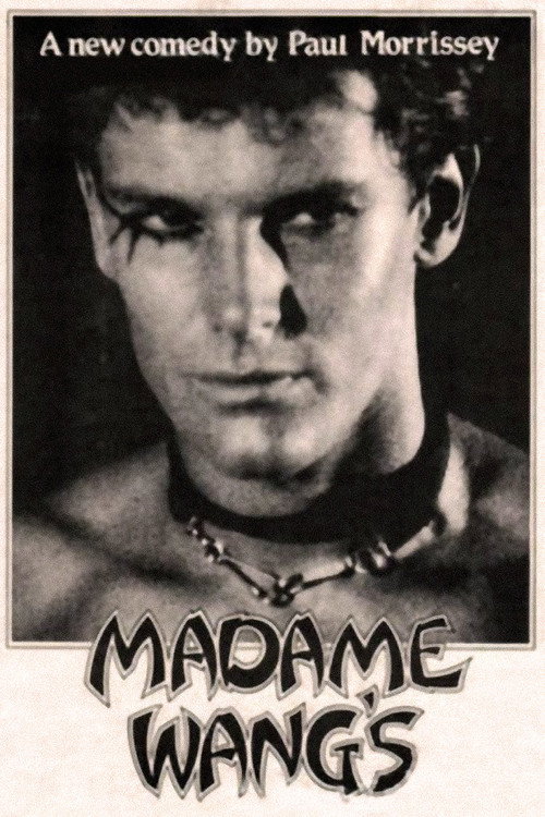 Movie poster for Madame Wang's (1996)