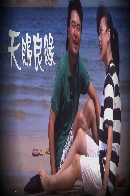 Movie poster for 天賜良緣