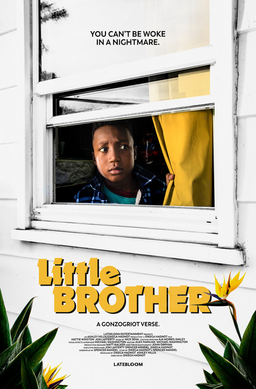 Movie poster for Little Brother (2020)