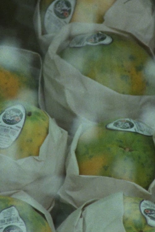 Movie poster for Global Fruit (2022)