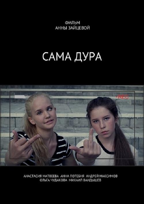 Movie poster for No, You're Stupid (2016)