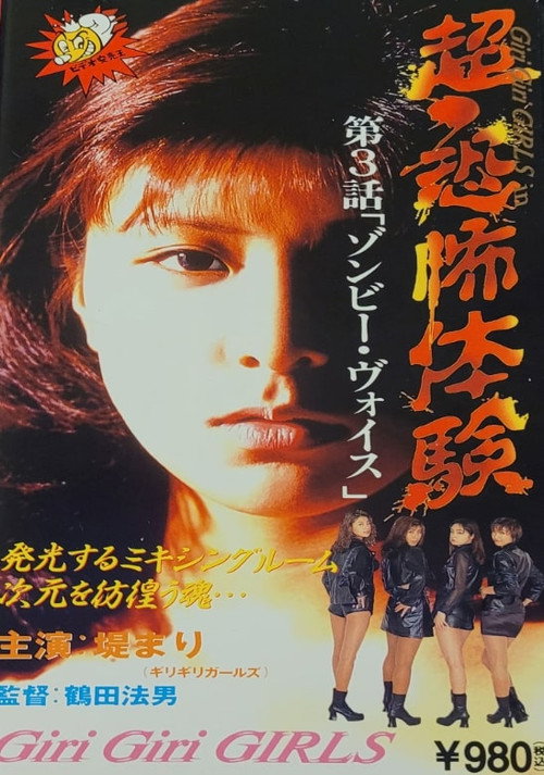 Movie poster for Super-Horror Experience 3: Zombie Voices (1995)