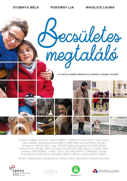 Movie poster for Becsületes megtaláló (2018)