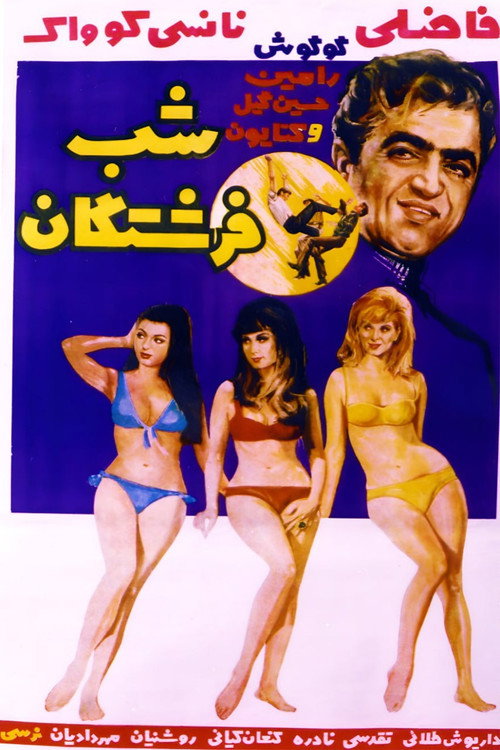 Movie poster for The Night of Angels (1968)