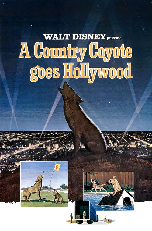 Movie poster for A Country Coyote Goes Hollywood (1965)