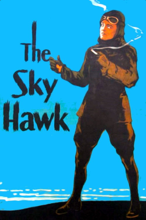 Movie poster for The Sky Hawk (1929)