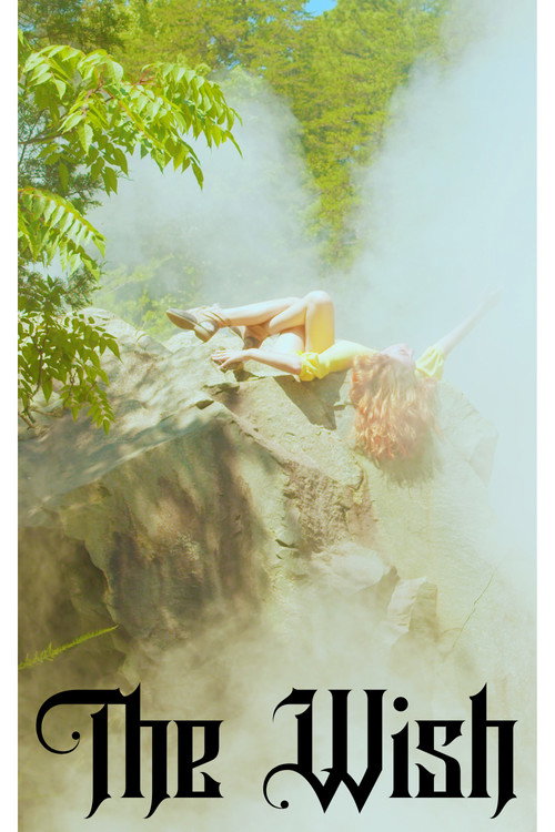 Movie poster for The Wish
