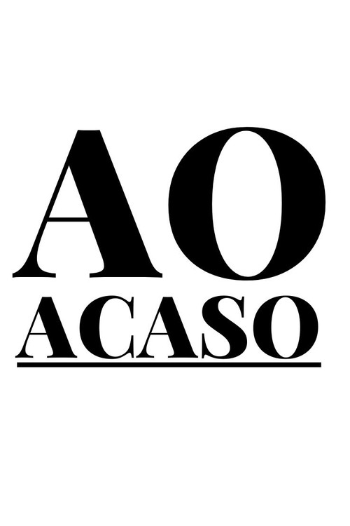 Movie poster for Ao Acaso (2024)