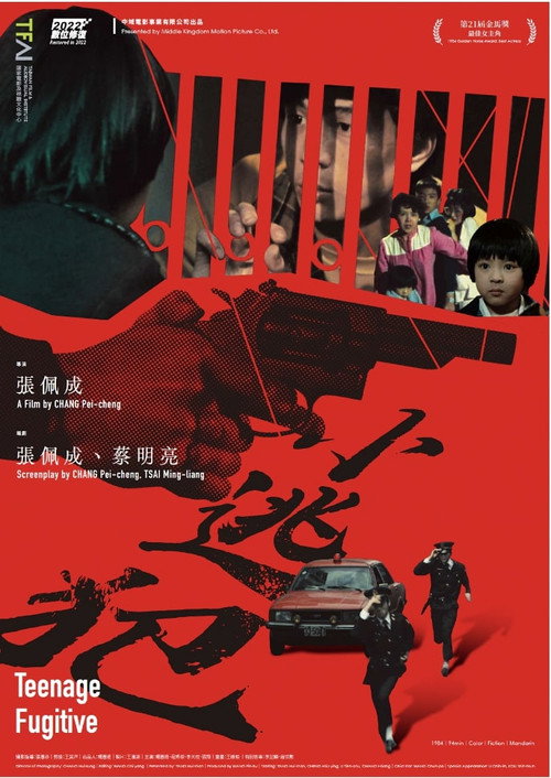 Movie poster for Teenage Fugitive (1984)