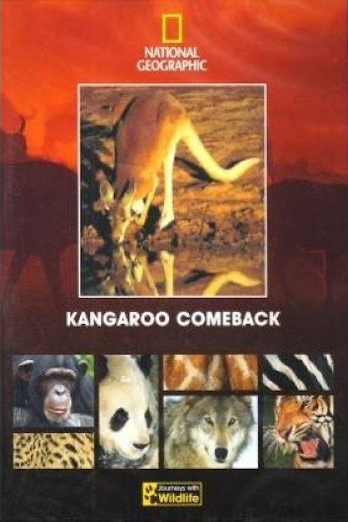 Movie poster for Kangaroo Comeback (1998)