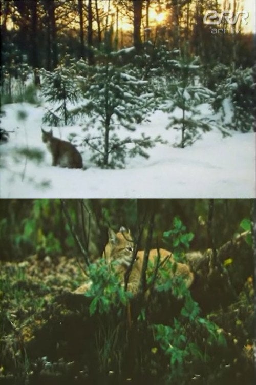 Movie poster for The Story of Ilves (1988)
