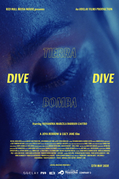 Movie poster for Dive Tierra Bomba Dive