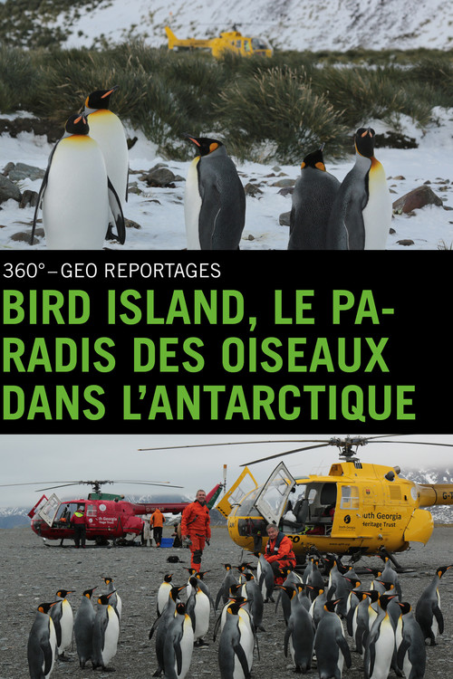 Movie poster for Bird Island - Allein unter Pinguinen (2015)