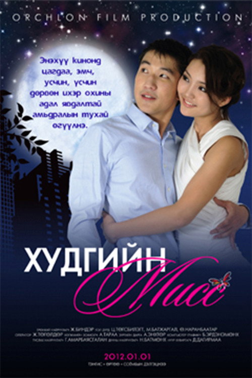 Movie poster for Miss of the Well (2012)